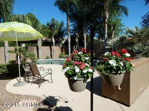 417 E Hopkins Rd, Gilbert, AZ 85295 photo 29