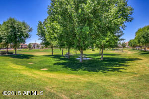 4679 E Maplewood St, Gilbert, AZ 85297 photo 49