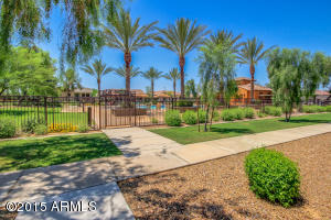 4679 E Maplewood St, Gilbert, AZ 85297 photo 3