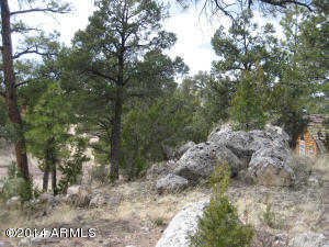 3673 Diamondback Dr, Overgaard, AZ 85933 photo 32