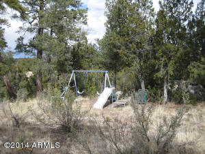 3673 Diamondback Dr, Overgaard, AZ 85933 photo 30