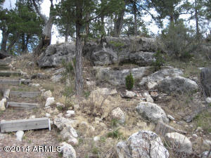 3673 Diamondback Dr, Overgaard, AZ 85933 photo 34