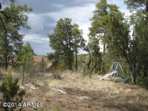 3673 Diamondback Dr, Overgaard, AZ 85933 photo 31