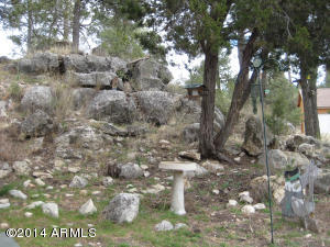 3673 Diamondback Dr, Overgaard, AZ 85933 photo 29