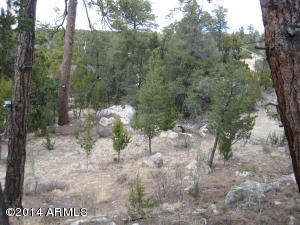 3673 Diamondback Dr, Overgaard, AZ 85933 photo 33