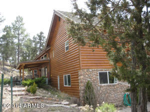3673 Diamondback Dr, Overgaard, AZ 85933 photo 20