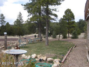 3673 Diamondback Dr, Overgaard, AZ 85933 photo 27