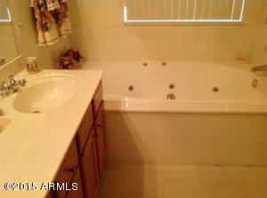 6252 E Riverdale St, Mesa, AZ 85215 photo 12