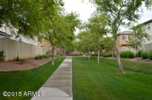3819 E Trigger Way, Gilbert, AZ 85297 photo 47