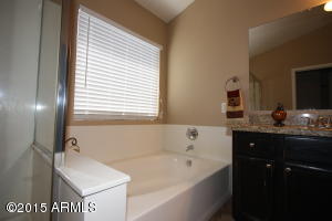 7363 E Navarro Ave, Mesa, AZ 85209 photo 19