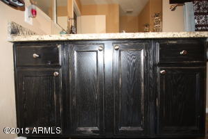 7363 E Navarro Ave, Mesa, AZ 85209 photo 45