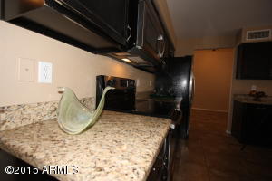 7363 E Navarro Ave, Mesa, AZ 85209 photo 51