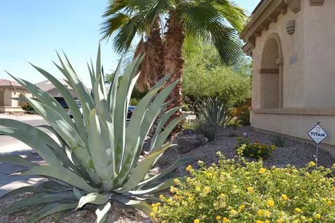 2008 N Rascon Loop, Phoenix, AZ 85037 photo 3