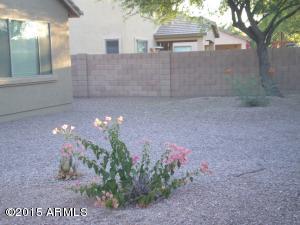 3698 E Janelle Ct, Gilbert, AZ 85298 photo 5