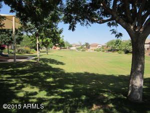9910 E Flower Ave, Mesa, AZ 85208 photo 46