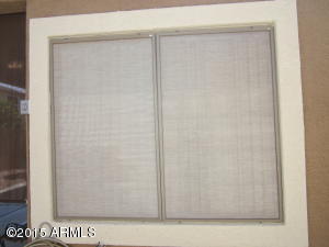 9910 E Flower Ave, Mesa, AZ 85208 photo 40