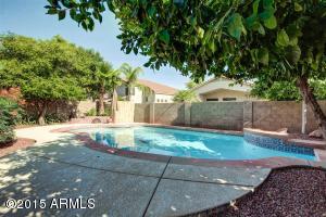 1165 E Sheffield Ave, Gilbert, AZ 85296 photo 3