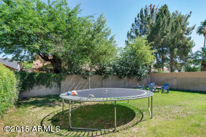 3834 Everett Dr, Phoenix, AZ 85032 photo 14