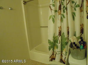 5259 S Hazelton Ln, Tempe, AZ 85283 photo 12
