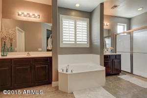 1139 E Ibis St, Gilbert, AZ 85297 photo 25