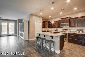 1139 E Ibis St, Gilbert, AZ 85297 photo 11