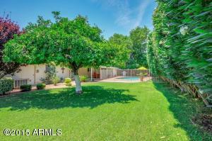 4034 E Coolidge St, Phoenix, AZ 85018 photo 34