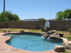 3921 W Darrow St, Phoenix, AZ 85041 photo 19