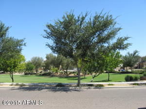 3921 W Darrow St, Phoenix, AZ 85041 photo 23
