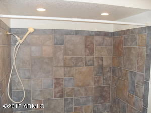 550 E Quail Ave, Apache Junction, AZ 85119 photo 19