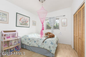 3708 E Laurel Ln, Phoenix, AZ 85028 photo 17