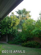 209 Ellis Dr, Tempe, AZ 85282 photo 4