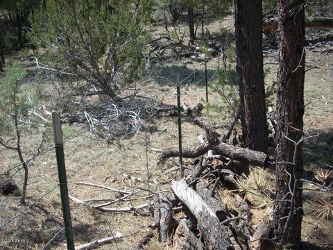 2971 Constellation Ln #-, Overgaard, AZ 85933 photo 2