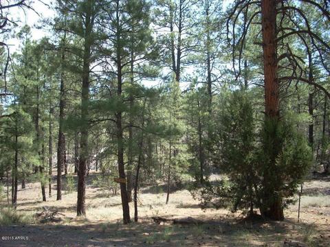 2971 Constellation Ln #-, Overgaard, AZ 85933 photo 8