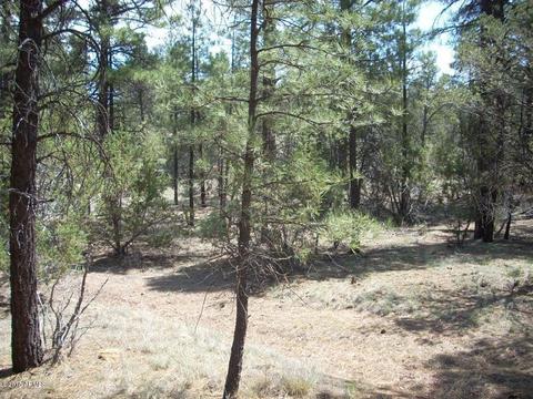2971 Constellation Ln #-, Overgaard, AZ 85933 photo 12