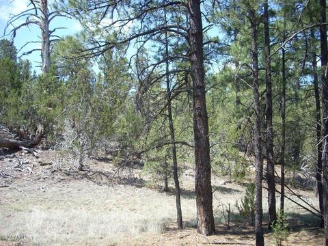 2971 Constellation Ln #-, Overgaard, AZ 85933 photo 17