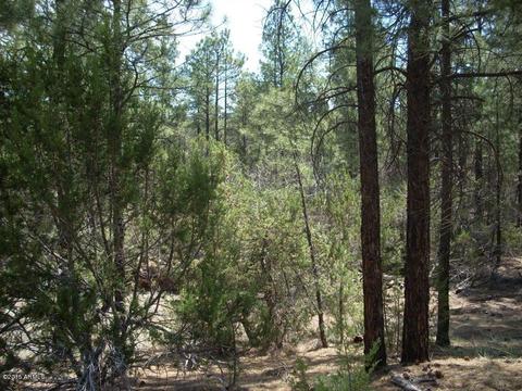 2971 Constellation Ln #-, Overgaard, AZ 85933 photo 4