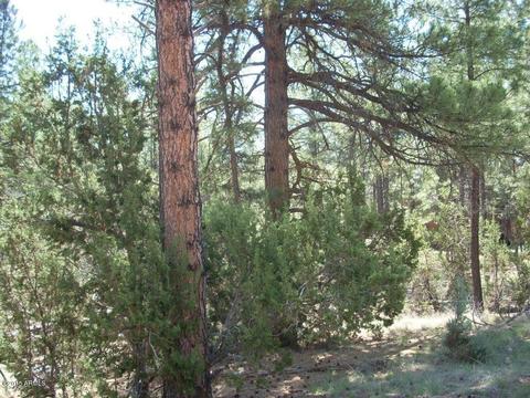 2971 Constellation Ln #-, Overgaard, AZ 85933 photo 6