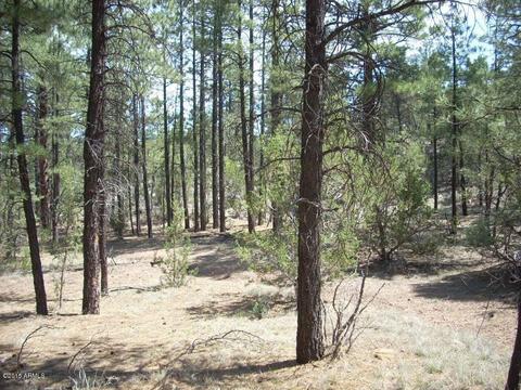 2971 Constellation Ln #-, Overgaard, AZ 85933 photo 13