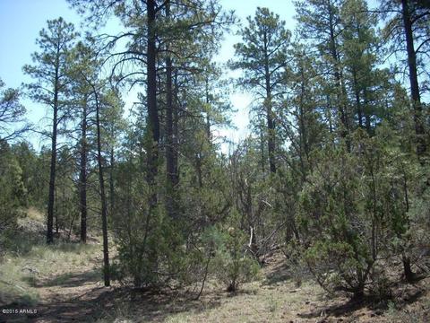 2971 Constellation Ln #-, Overgaard, AZ 85933 photo 14