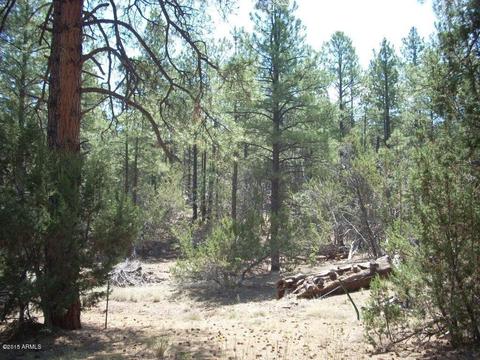 2971 Constellation Ln #-, Overgaard, AZ 85933 photo 9