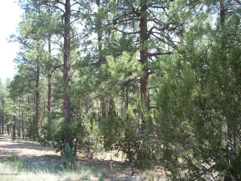 2971 Constellation Ln #-, Overgaard, AZ 85933 photo 3