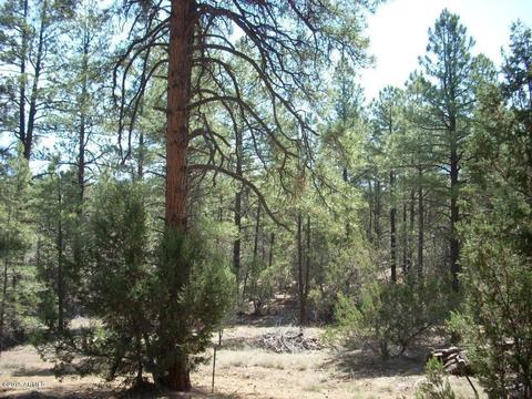 2971 Constellation Ln #-, Overgaard, AZ 85933 photo 7