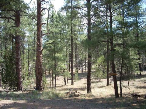 2971 Constellation Ln #-, Overgaard, AZ 85933 photo 1