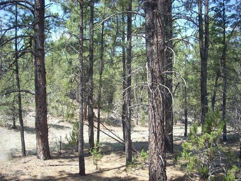2971 Constellation Ln #-, Overgaard, AZ 85933 photo 16
