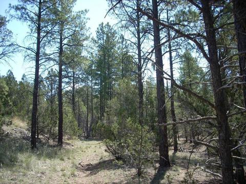 2971 Constellation Ln #-, Overgaard, AZ 85933 photo 15
