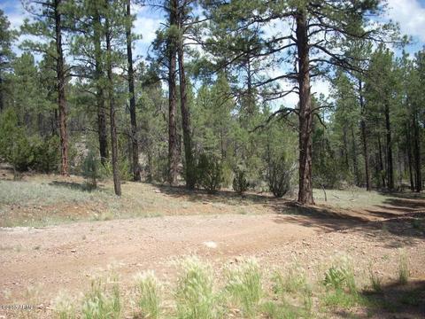 2971 Constellation Ln #-, Overgaard, AZ 85933 photo 10