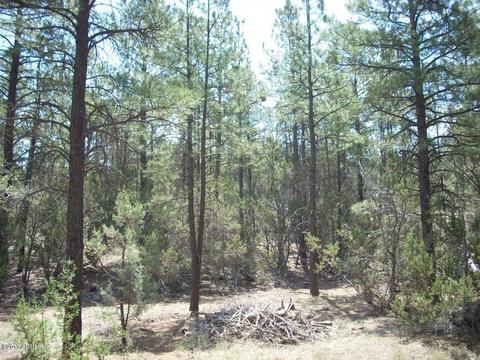 2971 Constellation Ln #-, Overgaard, AZ 85933 photo 11