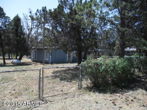 3391 Apache Dr, Overgaard, AZ 85933 photo 2