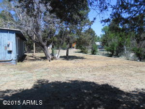 3391 Apache Dr, Overgaard, AZ 85933 photo 6