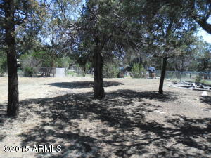 3391 Apache Dr, Overgaard, AZ 85933 photo 5